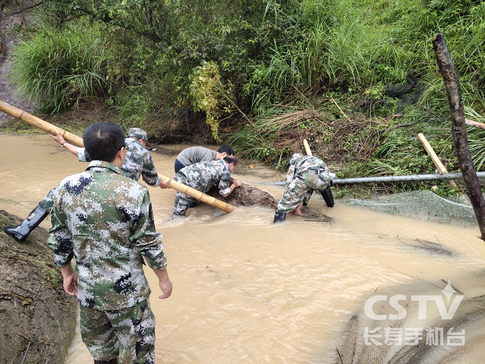 降雨致险情 民兵来救援1.jpg