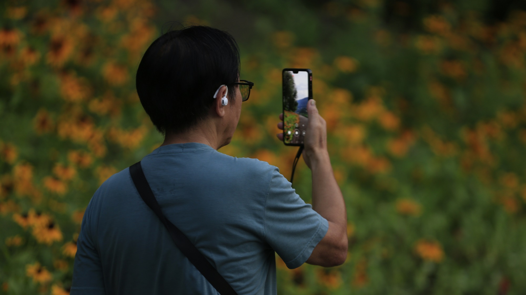 市民在拍摄开州汉丰湖消落带花海视频。张鑫坪 摄