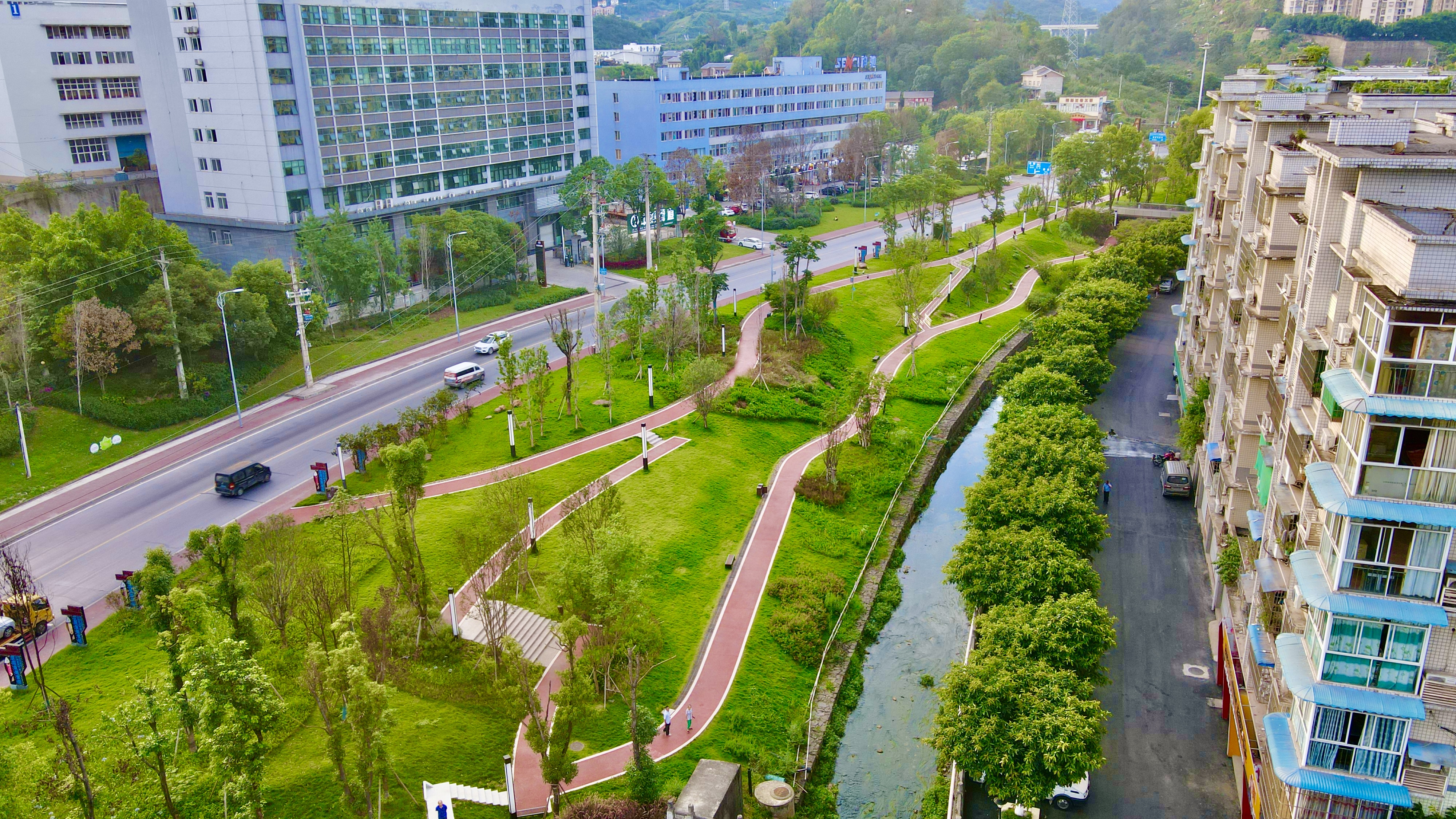 家门口的风景线 重庆这4条溪流水清岸更绿！