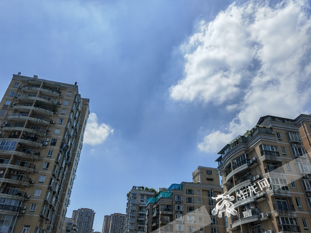 8月8日，重庆大部地区晴热天气持续。华龙网-新重庆客户端记者 谢鹏飞 摄