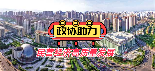 重庆九龙坡区政协助力民营经济高质量发展
