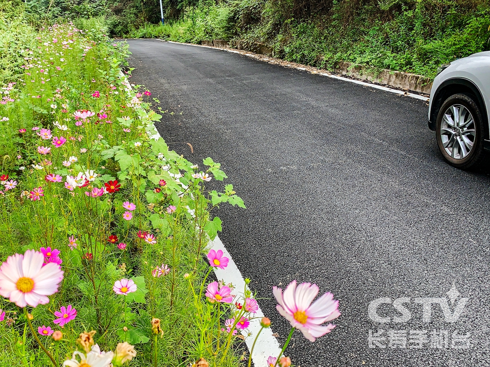 好消息！这个村通了沥青路2.jpg