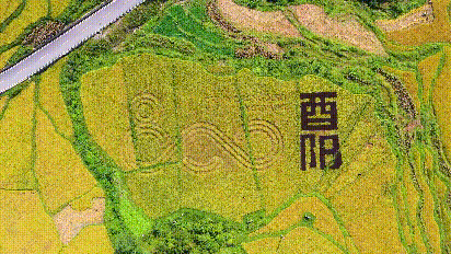 酉阳.gif