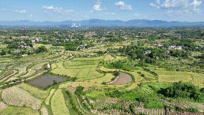 合川 丰收.gif