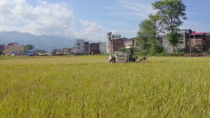 巫山 (1).gif