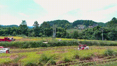 涪陵 (1).gif