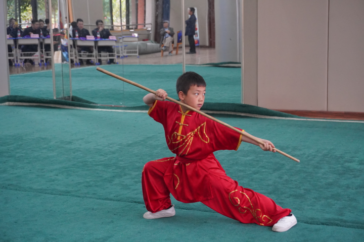 区运会青少年武术套路比赛举行人和小学斩获12枚金牌