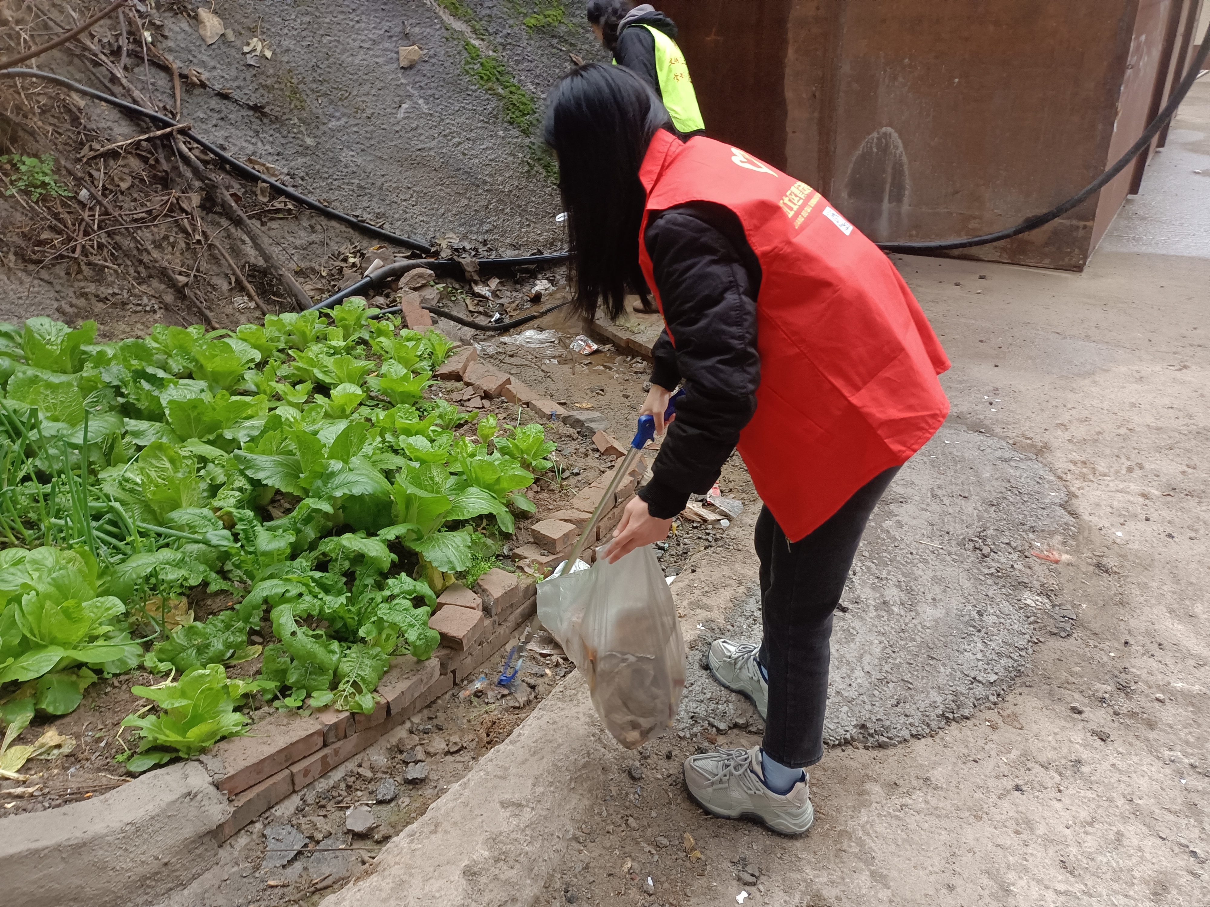 社会实践社区服务照片图片