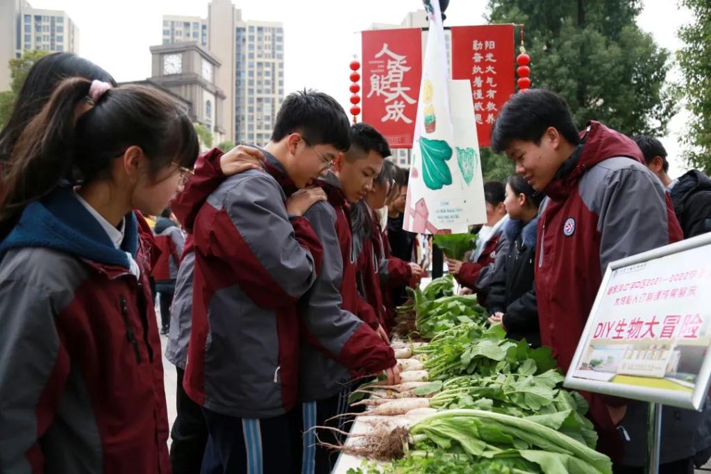 教育，杨家坪中学，生物大冒险3