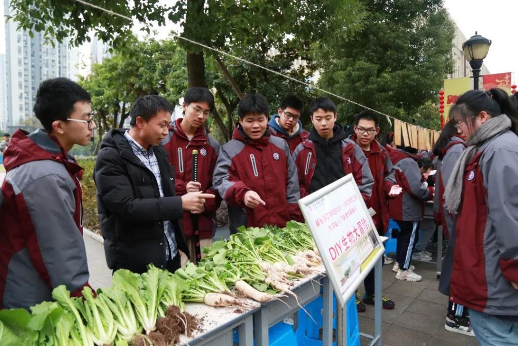 教育，杨家坪中学，生物大冒险1