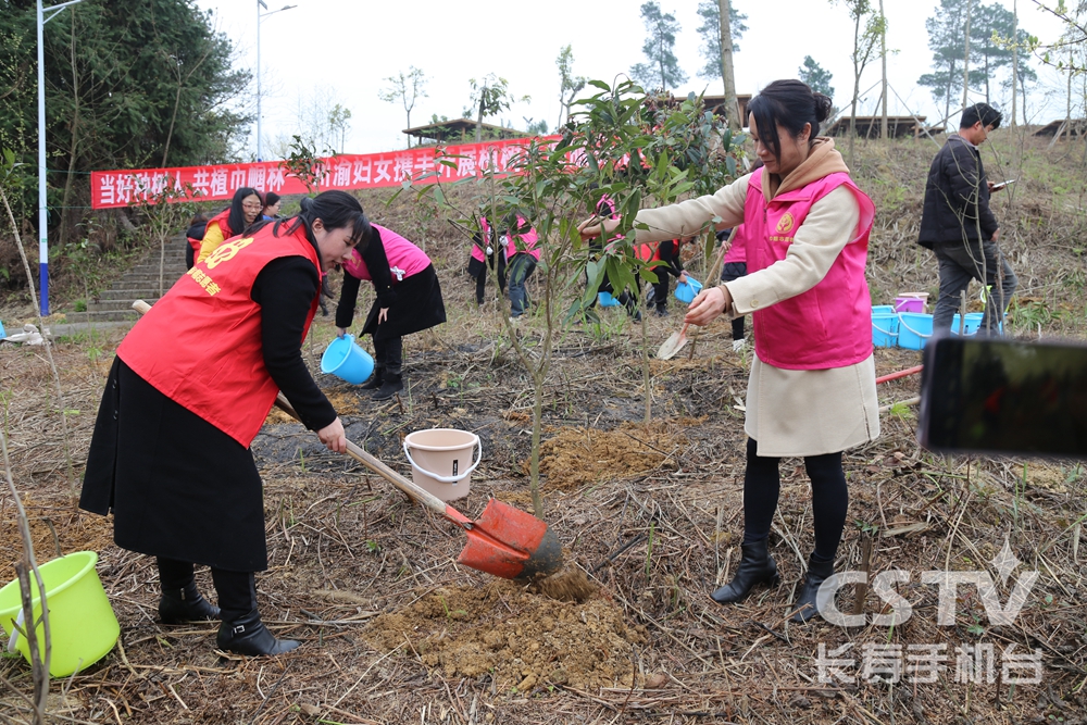 长寿邻水妇联携手开展志愿服务活动.jpg