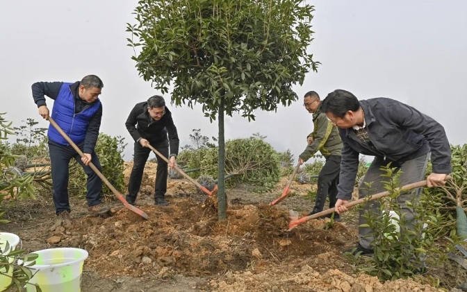 王志杰刘忠李景耀杜海波等参加涪陵区2024年春季义务植树活动
