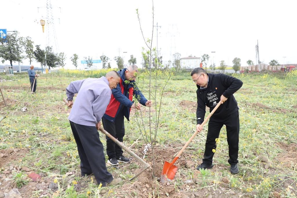 9dd259274d739f1cf40d2e02ff2fa280_2024031504063165f4018747324