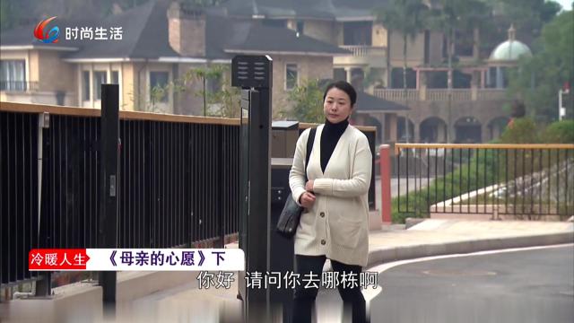 视界网——重庆网络广播电视台