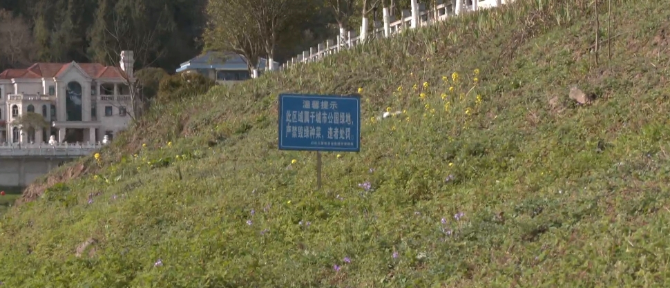 微信截图_20240328171720.png