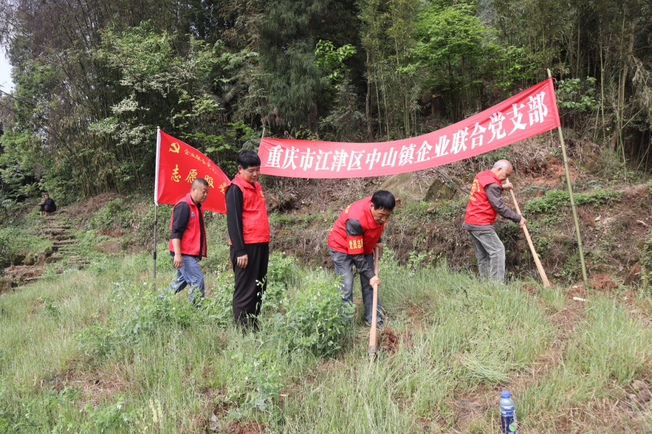 图片1.jpg