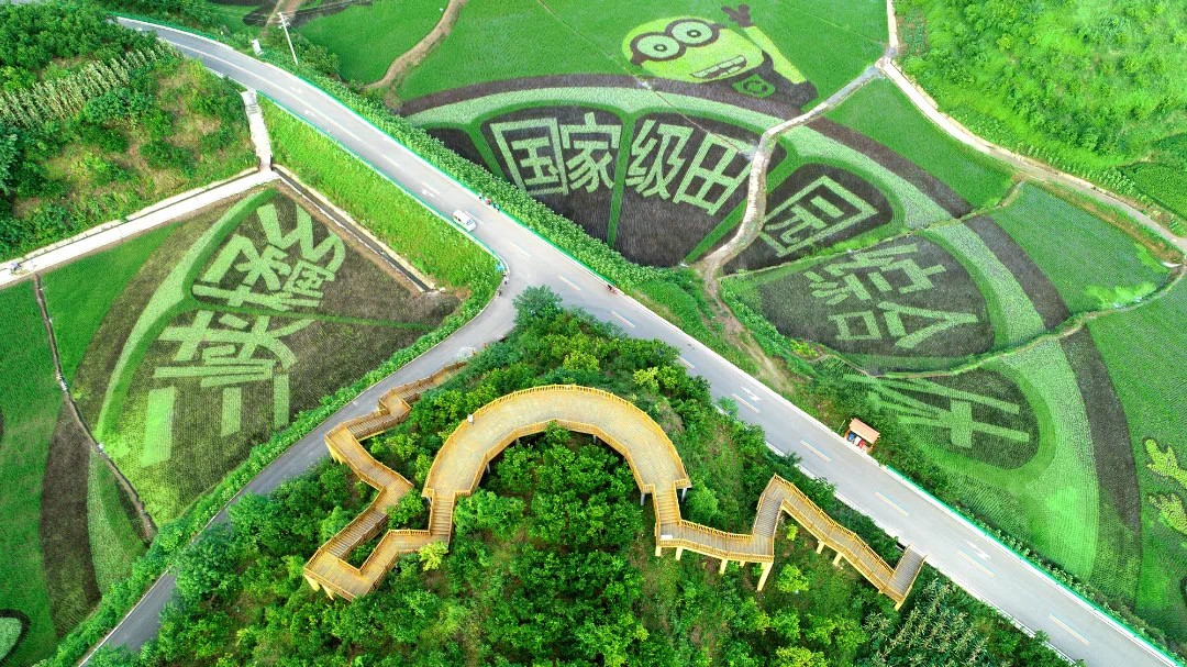 三峡橘乡田园综合体上榜重庆文化和旅游产业发展优秀项目龙虎榜