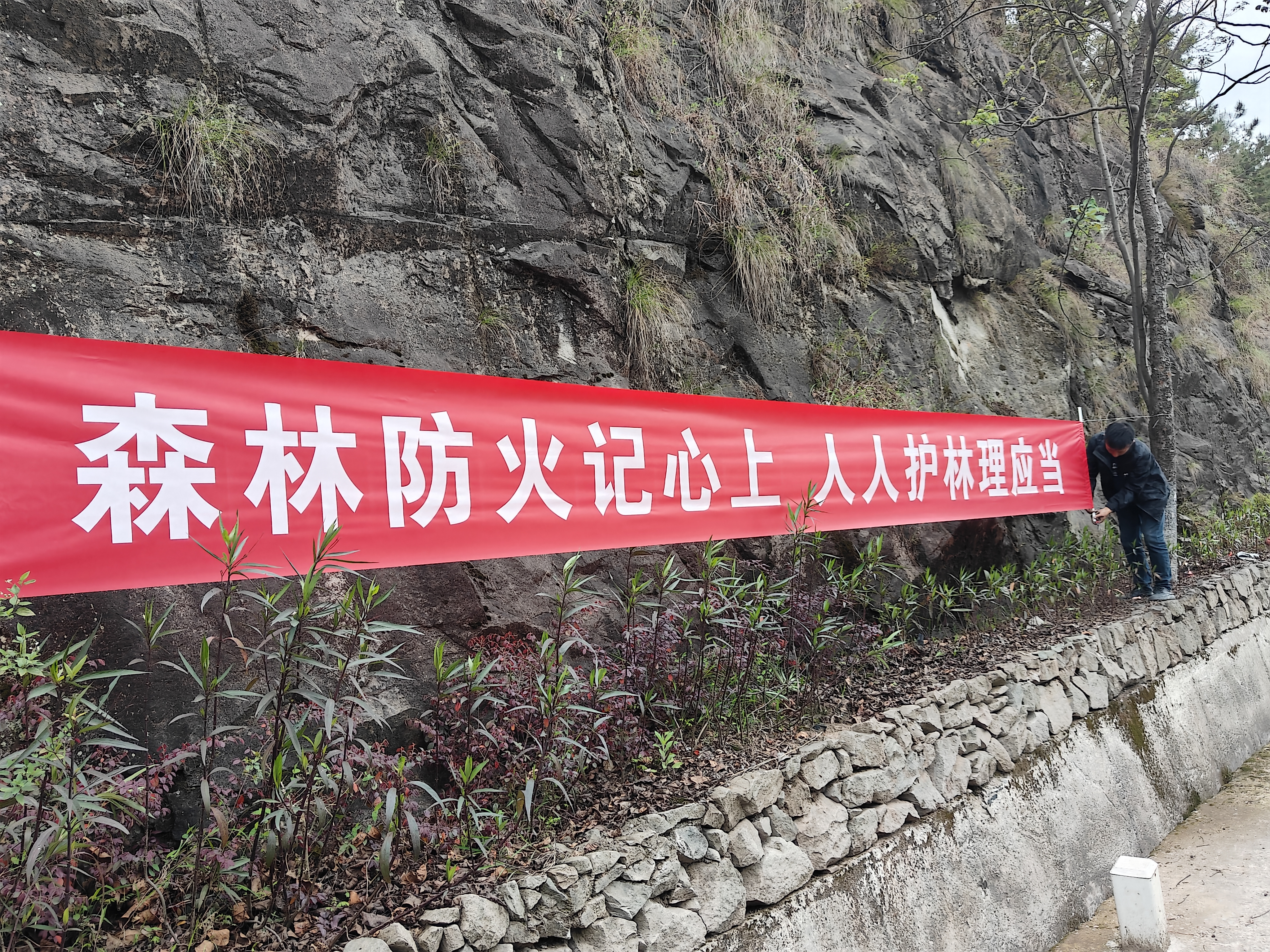 IMG20240407173323.jpg