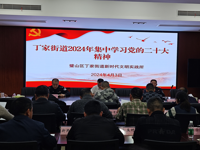 4月7日丁家街道新时代文明实践所开展集中学习党的二十大精神活动.jpg