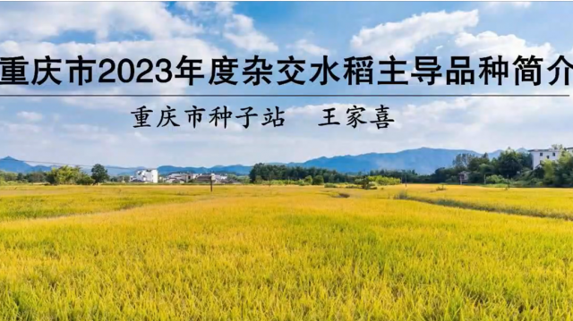 【农技慕课】重庆市2024年度杂交水稻主导品种简介（二）