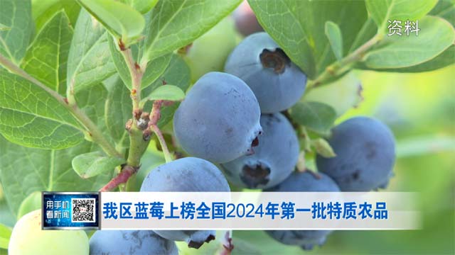 我区蓝莓上榜全国2024年第一批特质农品