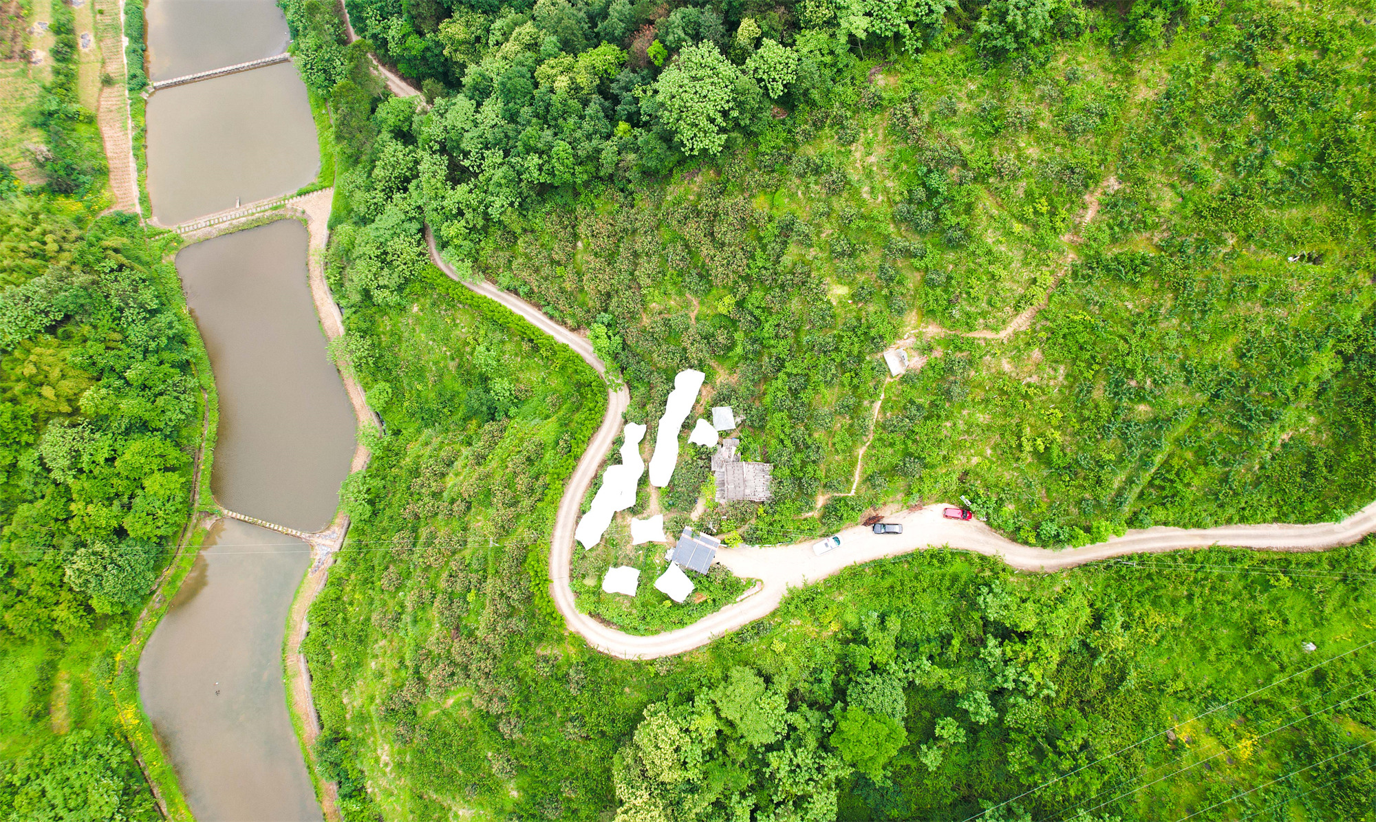 近年来，澄溪镇以特色果业、特色养殖作为助推乡村振兴的主抓手，因地制宜在永兴村发展枇杷、晚熟李子、晚熟柑橘等水果和小龙虾养殖，多元化、多维度打造集“采摘、游玩、休闲”的全新形态，让游客从“一日游到四季游”，从“当季采摘”转向“四季采摘”的新业态，为客流引入、产业导入及文旅发展增添新动能。记者 龚长浩 摄