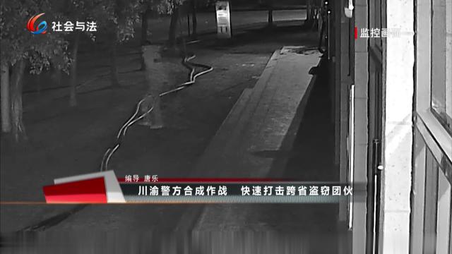 川渝警方合成作战 快速打击跨省盗窃团伙