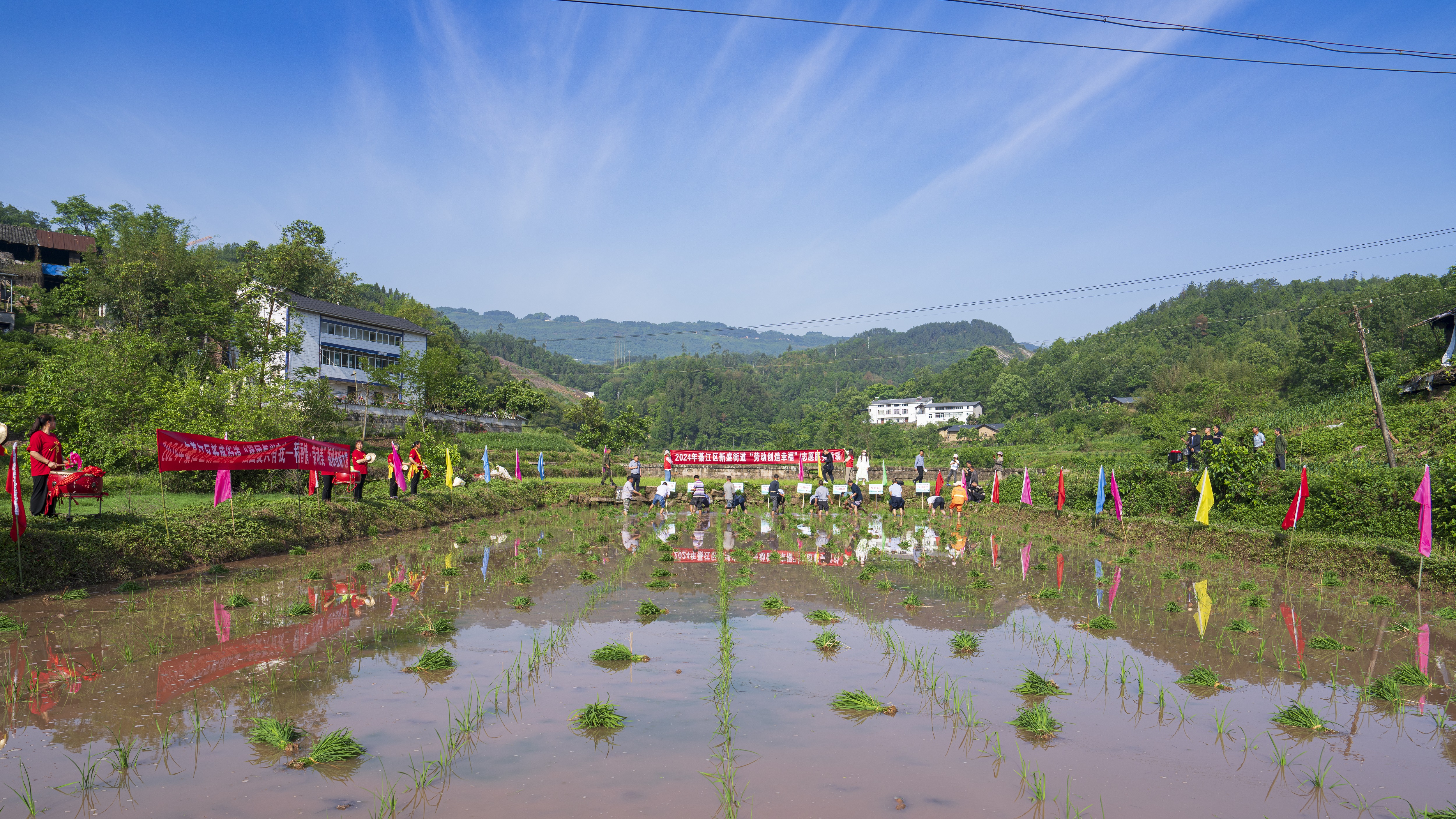 2024年4月28日，綦江区新盛街道气田村开展&ldquo;强国复兴有我&mdash;稻香情&middot;劳动美&rdquo;插秧技能大赛02.jpg