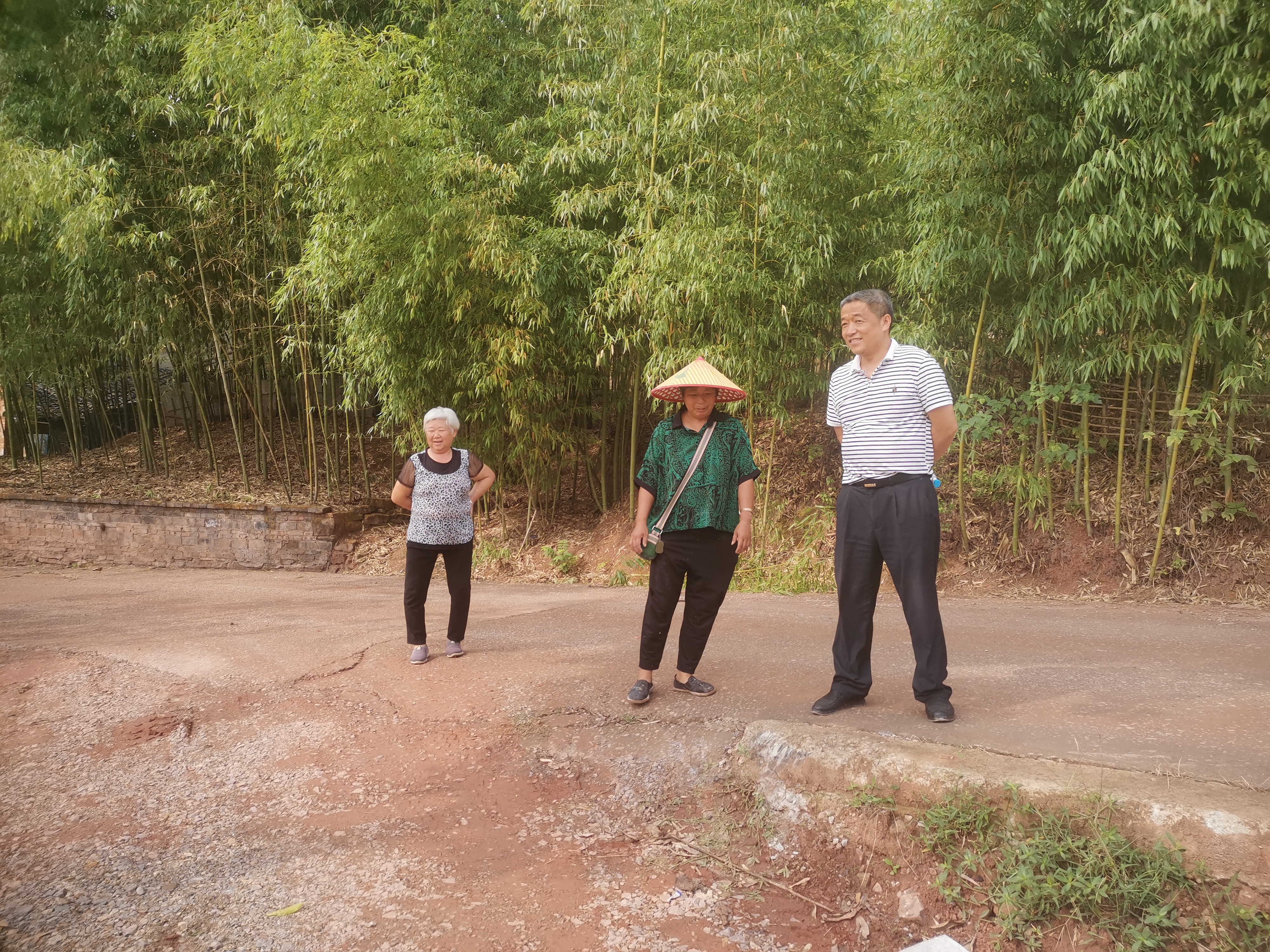 代表视察公路建设 (1).jpg