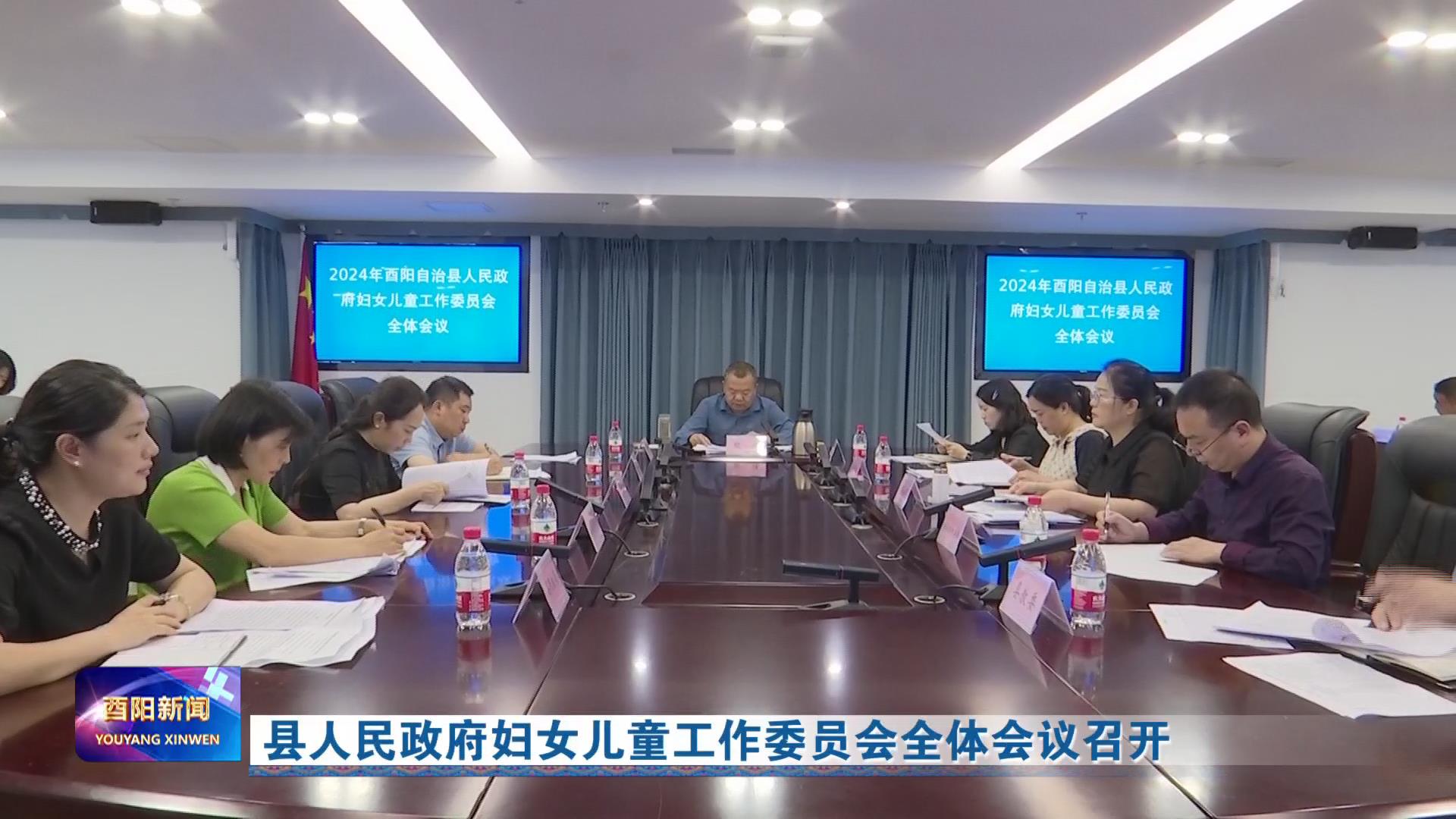 县人民政府妇女儿童工作委会全体会议召开