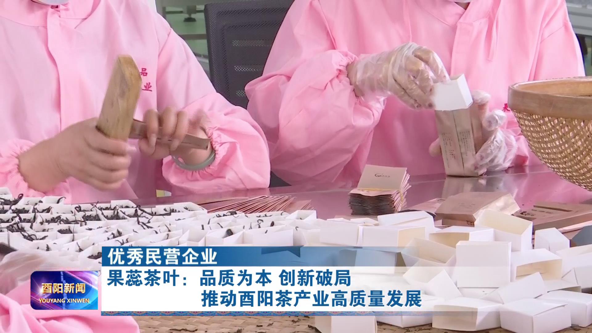 （优秀民营企业）果蕊茶叶：品质为本 创新破局 推动酉阳茶产业高质量发展