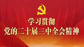 学习贯彻党的二十届三中全会精神