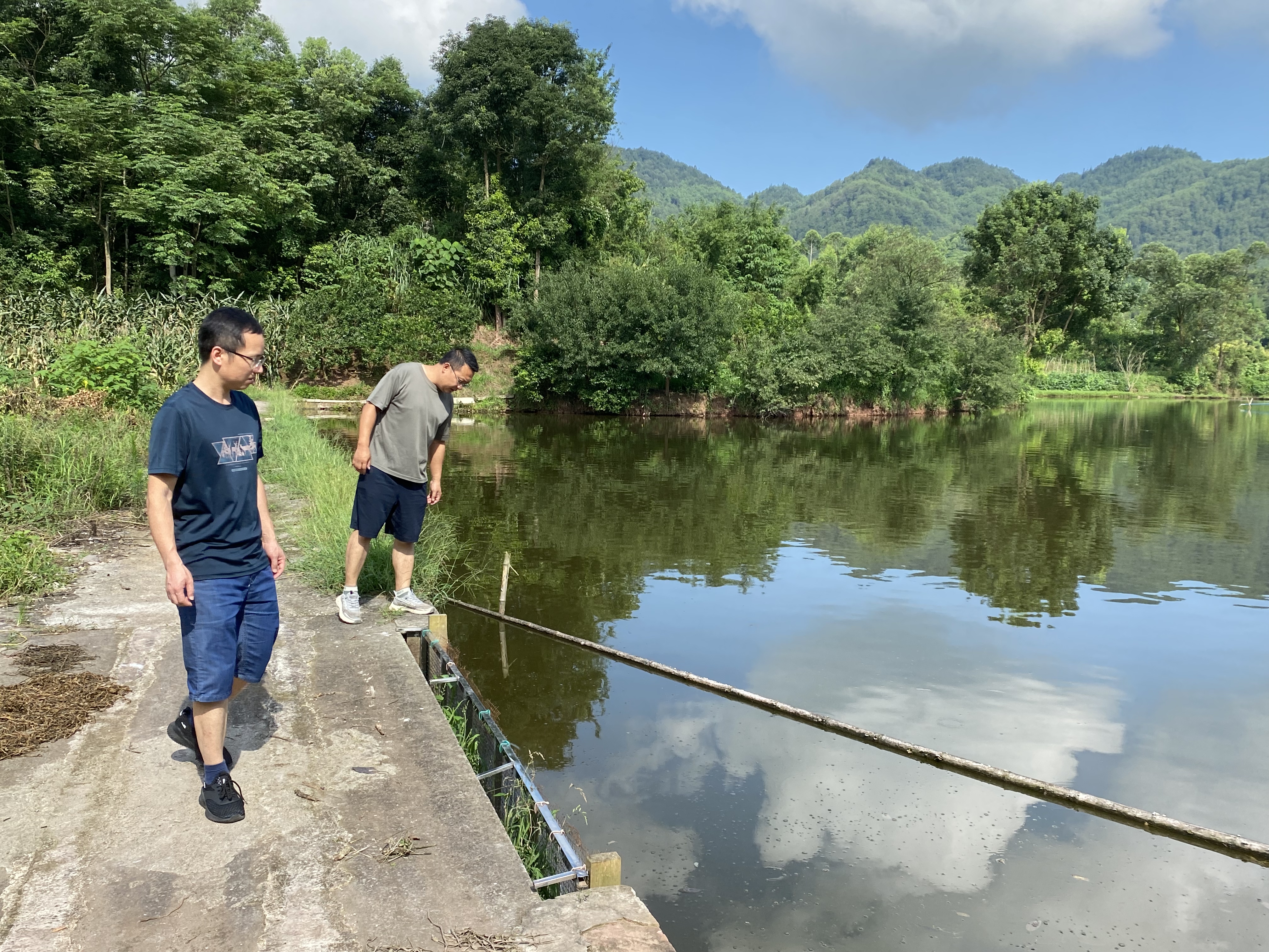 七月活动 (2).jpg