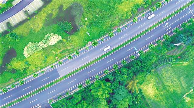 九龙坡铜陶路 跑出全域现代化加速度 绘就四好农村路新样本