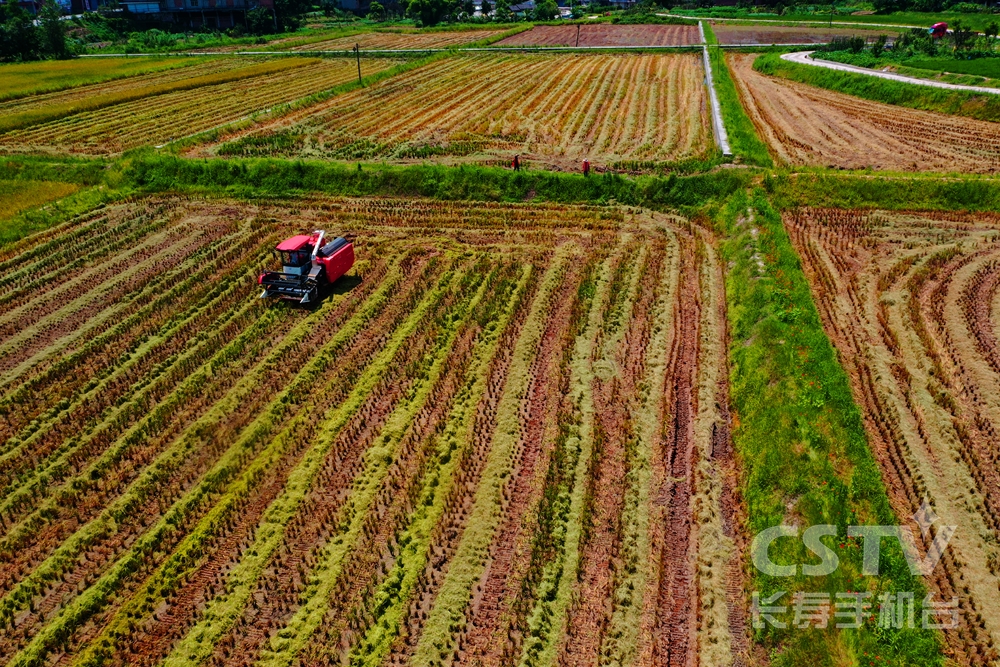 GetAttachment (2) (复制).jpg