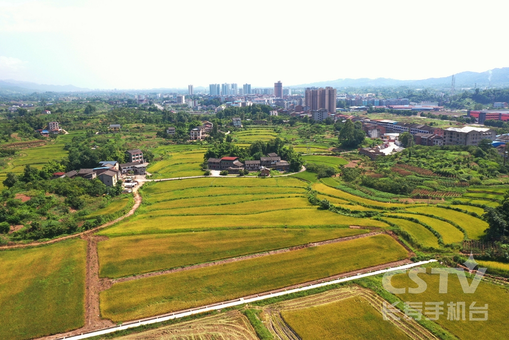 GetAttachment (复制).jpg