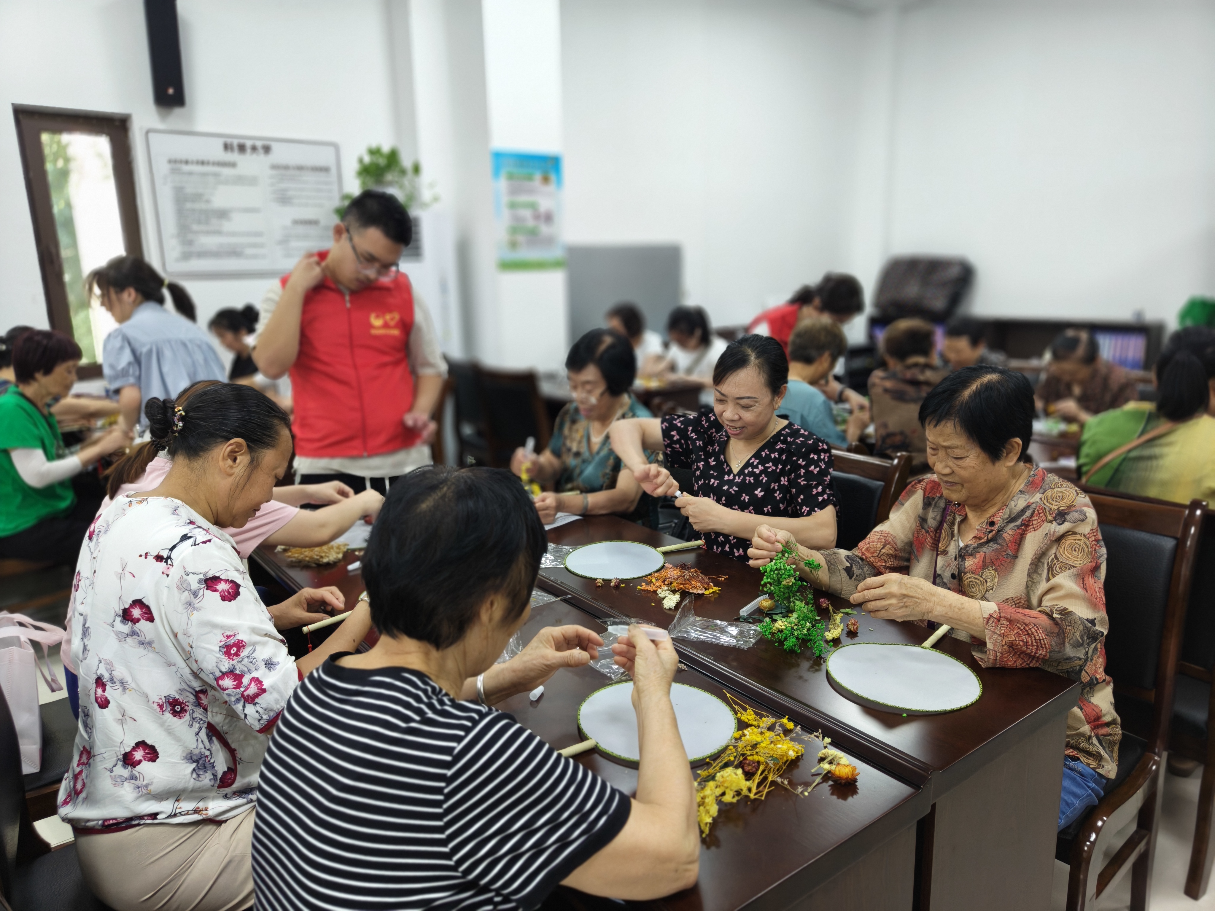 IMG20240808093501.jpg
