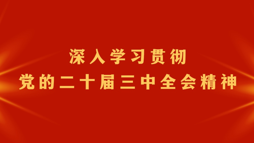 深入学习贯彻党的二十届三中全会精神