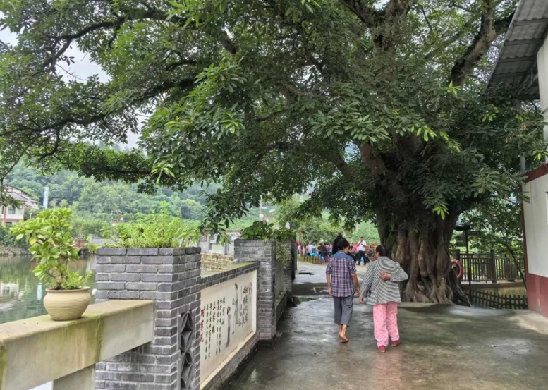 重庆万州：好“村光”擦亮和美乡村新“底色”