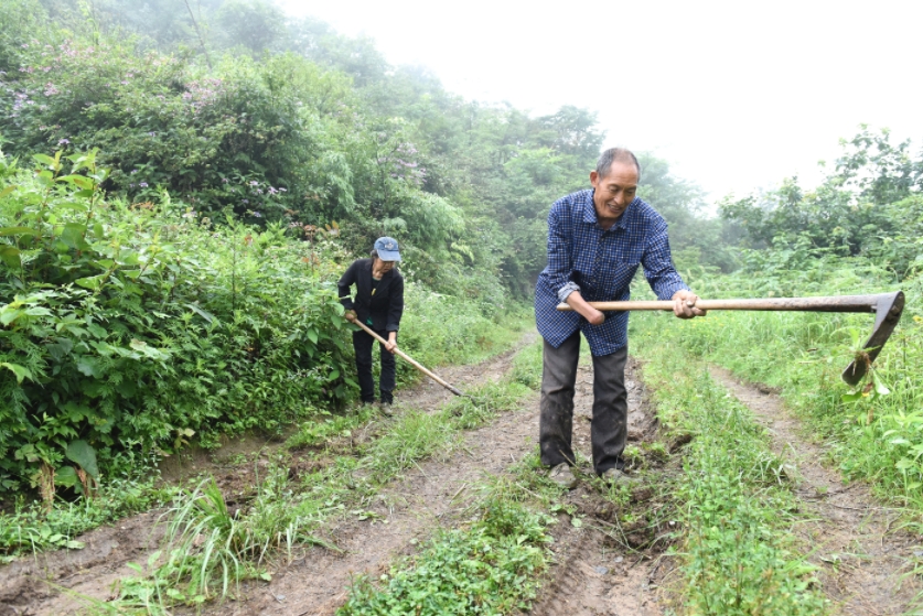 石柱：“残疾愚公”罗光法 凿山8年开出“致富路”