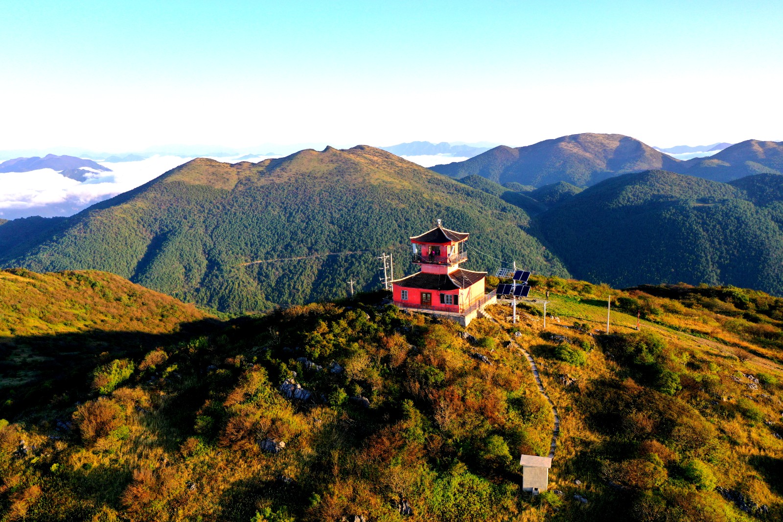 大官山生物多樣性保護(hù)地面觀測站.jpg