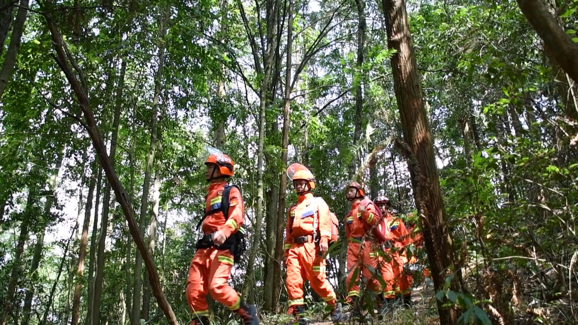 【合力战高温 节电我先行】联动巡护除险清患 筑牢森林“防火墙”