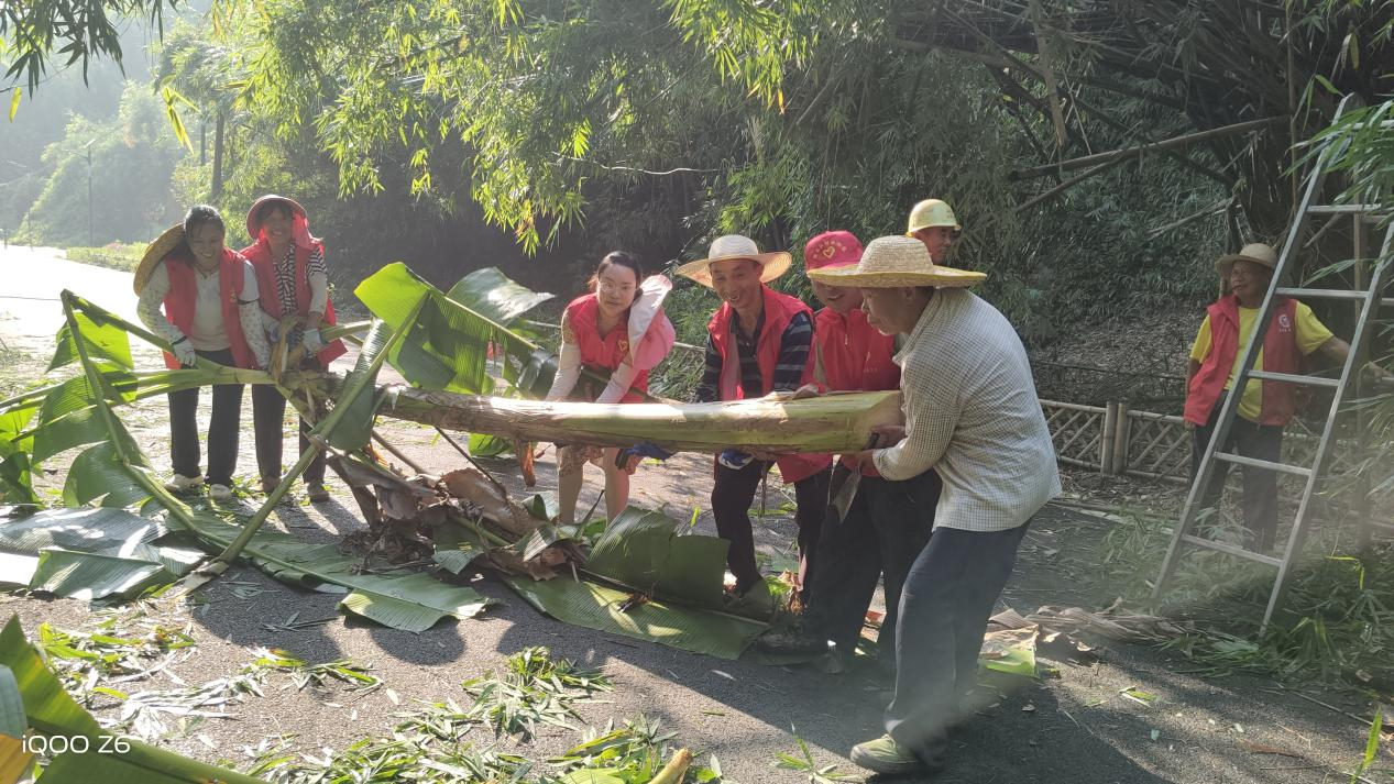 忠州街道独珠村：志愿者清理残枝保畅通