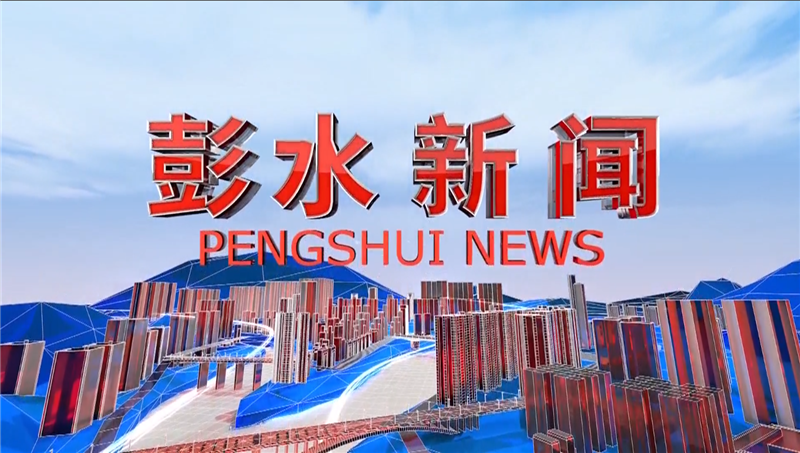 【深入学习贯彻党的二十届三中全会精神】平安镇：一张“小路网”串起发展“新愿景”