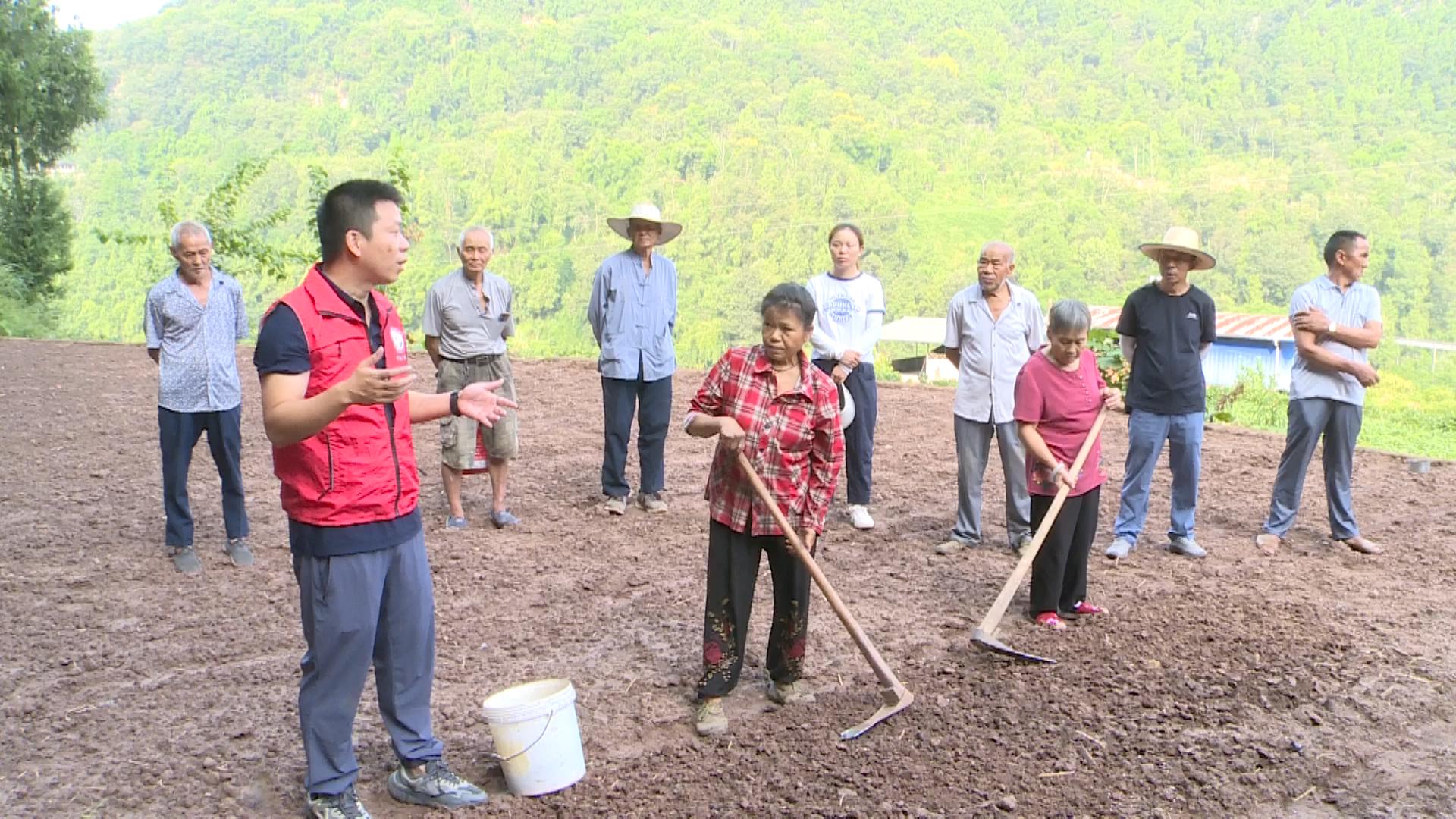 萬州農(nóng)技專家深入田間地頭指導農(nóng)戶應對高溫天氣_20240912181058.JPG