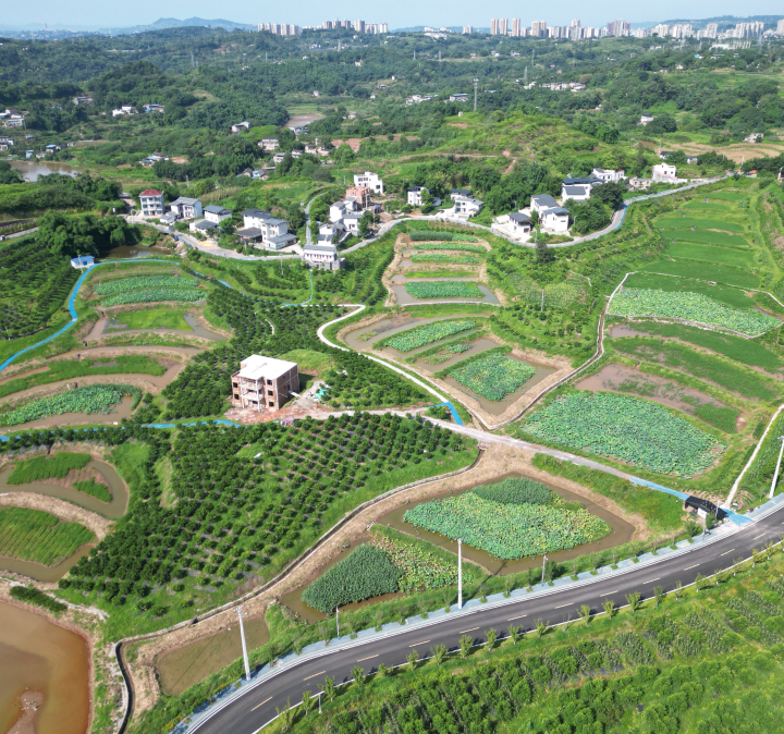 用好“千万工程”经验 谱写铜罐驿全域土地综合整治新篇章