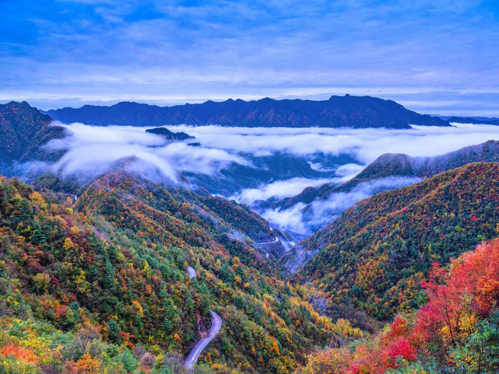 城口大巴山彩葉.jpg