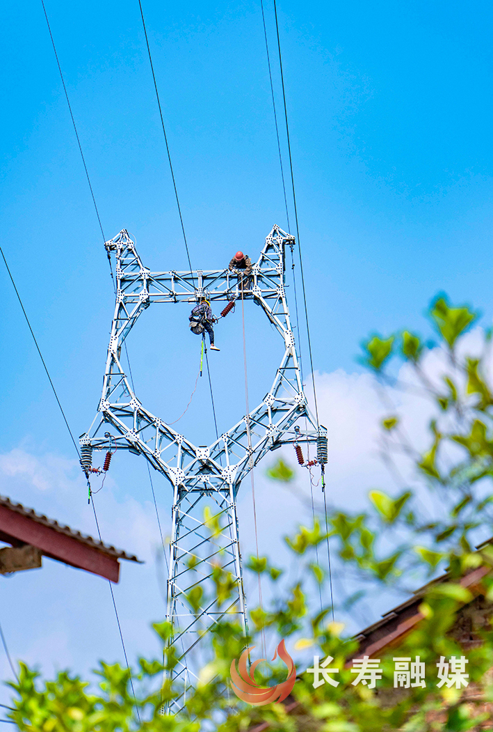 长寿供电公司加装避雷器提升防雷水平 (2)