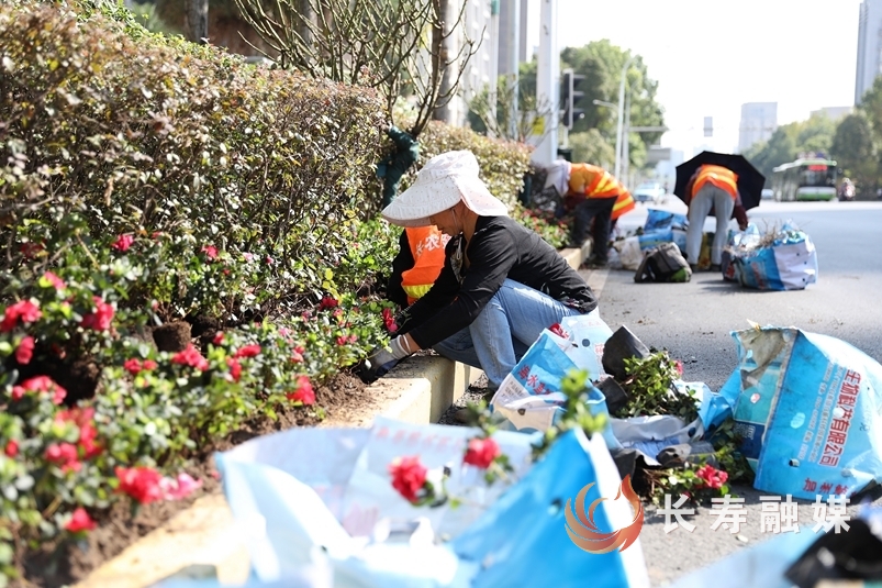 我区稳步推进道路周边环境提升工程1