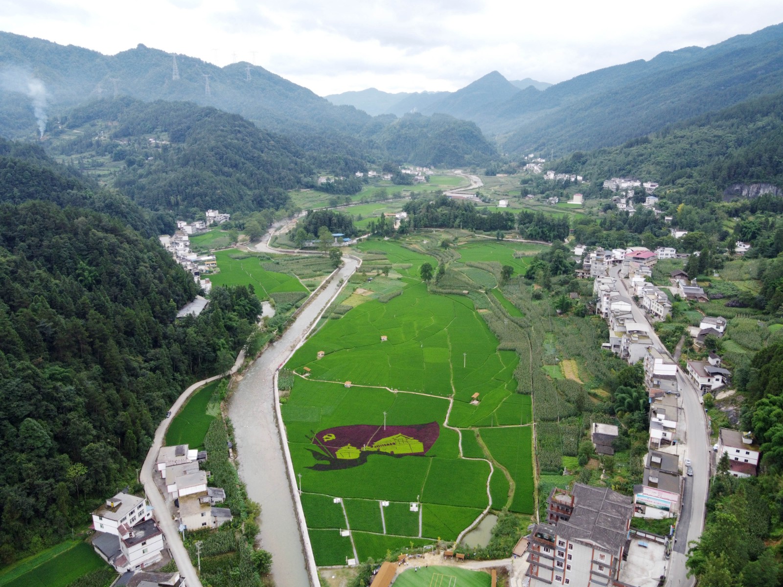 7月19日，彭水縣太原鎮(zhèn)，綠色稻田、鄉(xiāng)村道路、民居相映成景，構(gòu)成了一幅美麗的夏日鄉(xiāng)村畫卷。.jpg